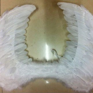 WING ANGEL FEATHER 60X45CM/EACH