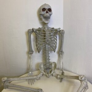 SKELETON HANGING WITH RED EYES/EACH
