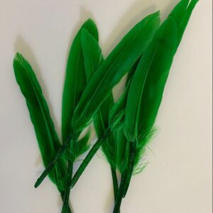 DIY FEATHER 11CM 12PCS/PACK/EACH PACK