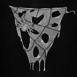 SPIDERWEB WITH SIPDER