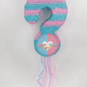 PINATA BOY OR GIRL REVEAL "?"