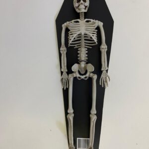 SKELETON IN CARD/EACH