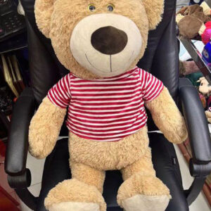 SOFT TOY TEDDY WITH SHIRT