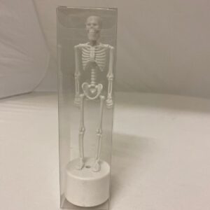 B/O SKELETON IN BOX /EACH