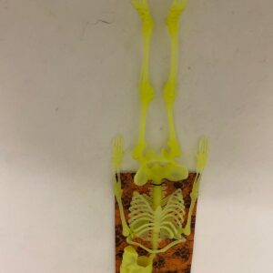SKELETON GID ON CARD/EACH