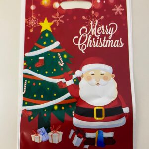 PARTY LOOT BAG CHRISTMAS 16X25CM 10PC/PK