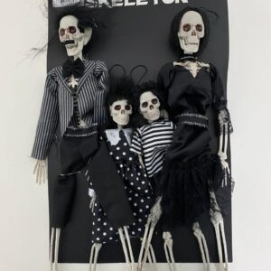 SKELETON FAMILY HAGING ON CARD AEW24K-66
