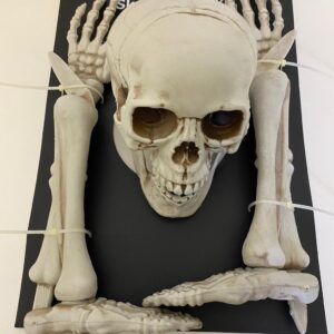 HANGING SKELETON 45X20X15CM HFL079/EACH