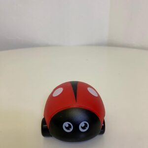CAR INSECT INTRERESTING 668-3/EACH