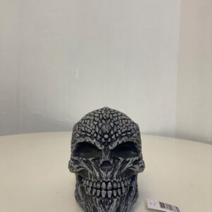 SKULL DESIGN 10X15X14CM HC18-23026-WS6