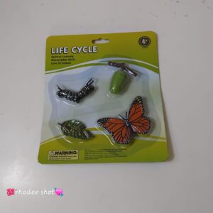 LIFE CYCLE BUTTERFLY KZ956-051A/EACH