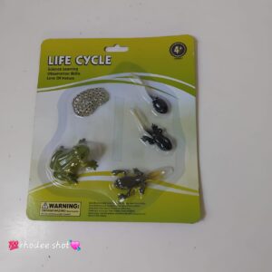 LIFE CYCLE FROG KZ956-054A/EAC
