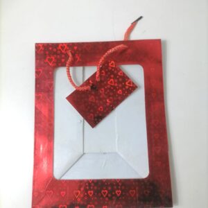 GIFT BAG LASER WINDOW 20X25X15.5CM/EACH