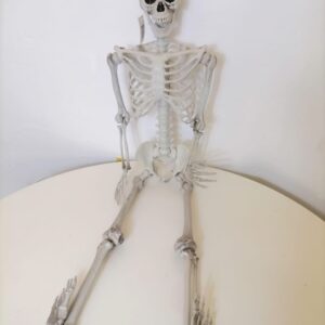 SKELETON HANGING (L) 91CM HFJ007/EACH