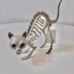 SKELETON CAT 19X6X1X14CM/EACH