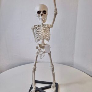 SKELETON STANDING ON STAND 19.5X18X54CM