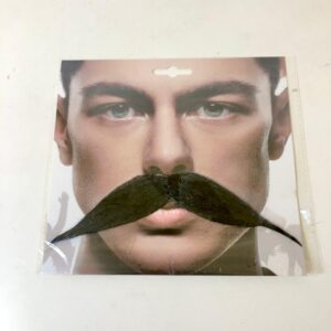 MUSTACHE PARTY CARNIVAL +-14CM/EACH