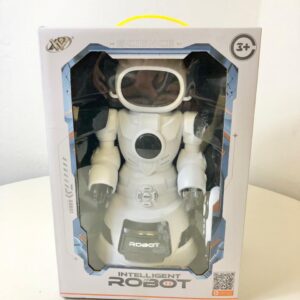 ROBOT INTELLIGENT REMOTE 655-56/EACH