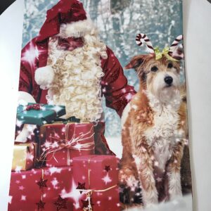GIFT BAG SANTA GLITTERISH (XXL)72x50x17