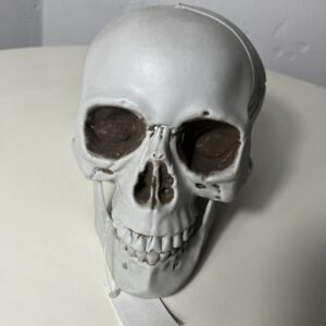 SKULL MOVING HEAD TSA6-57XSP/EACH