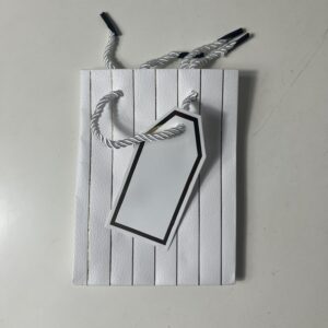 GIFT BAG STRIPES WITH TAG (S) 12X16X6.5C
